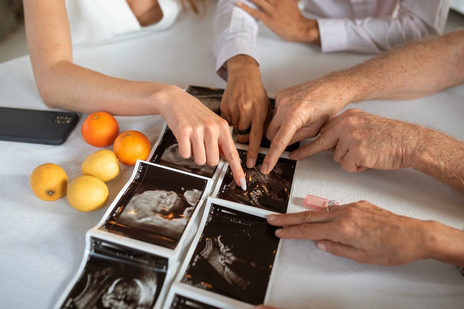  Fruchtbarkeit nach Periode bestimmen