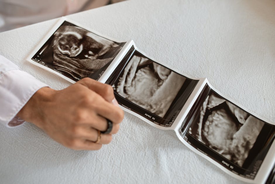 Fruchtbarkeit zwischen Periode und Eisprung